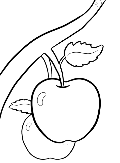 Tranh quả táo trên cây