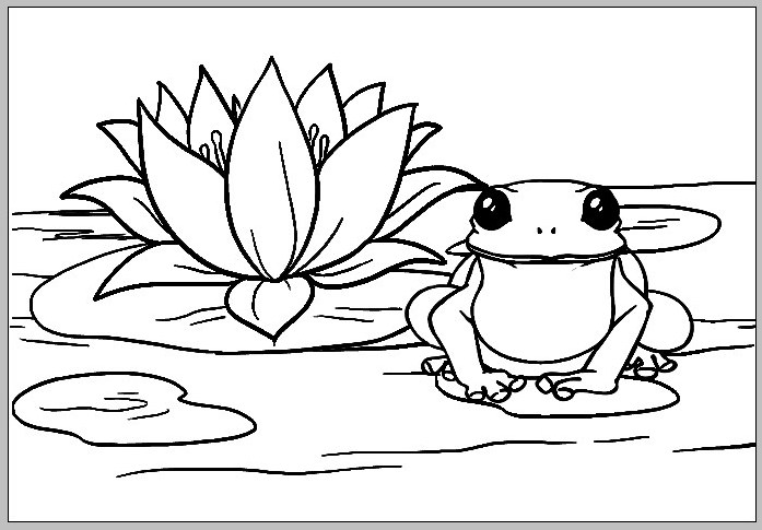 Tranh tô màu chú ếch và hoa sen