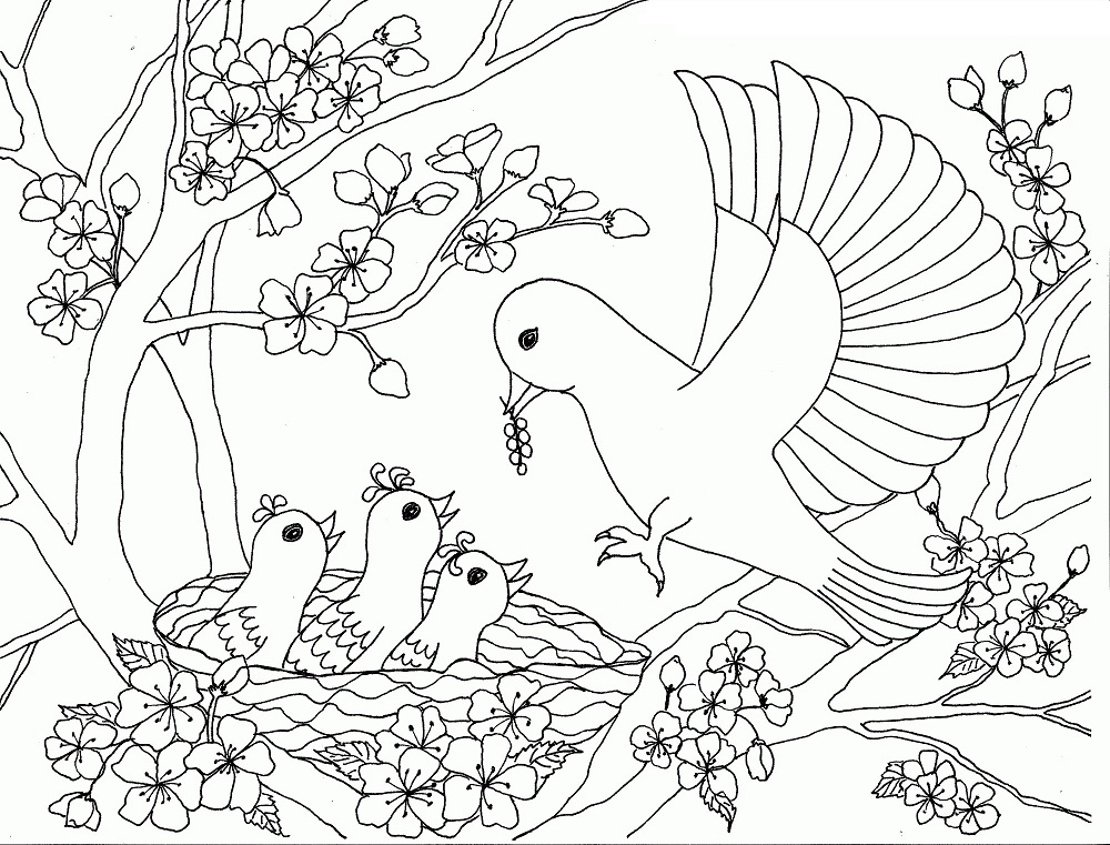 Tranh tô màu hoa đào và chim