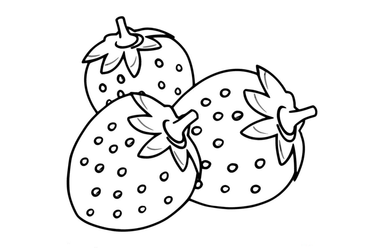 Tổng hợp hơn 56 về trái dâu tô màu  Du học Akina
