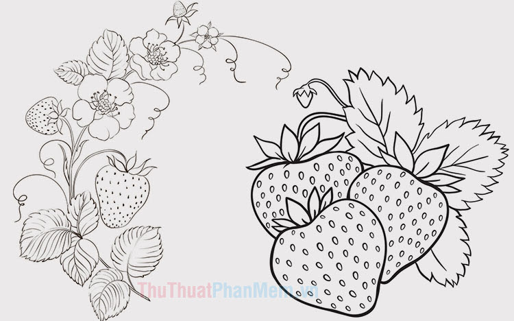 Hướng dẫn vẽ quả na  How to draw a Custard Apple  Drawing Tutorials   YouTube