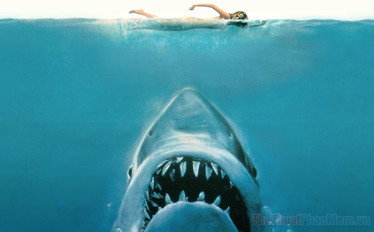 Top những bộ phim Cá mập hay nhất
