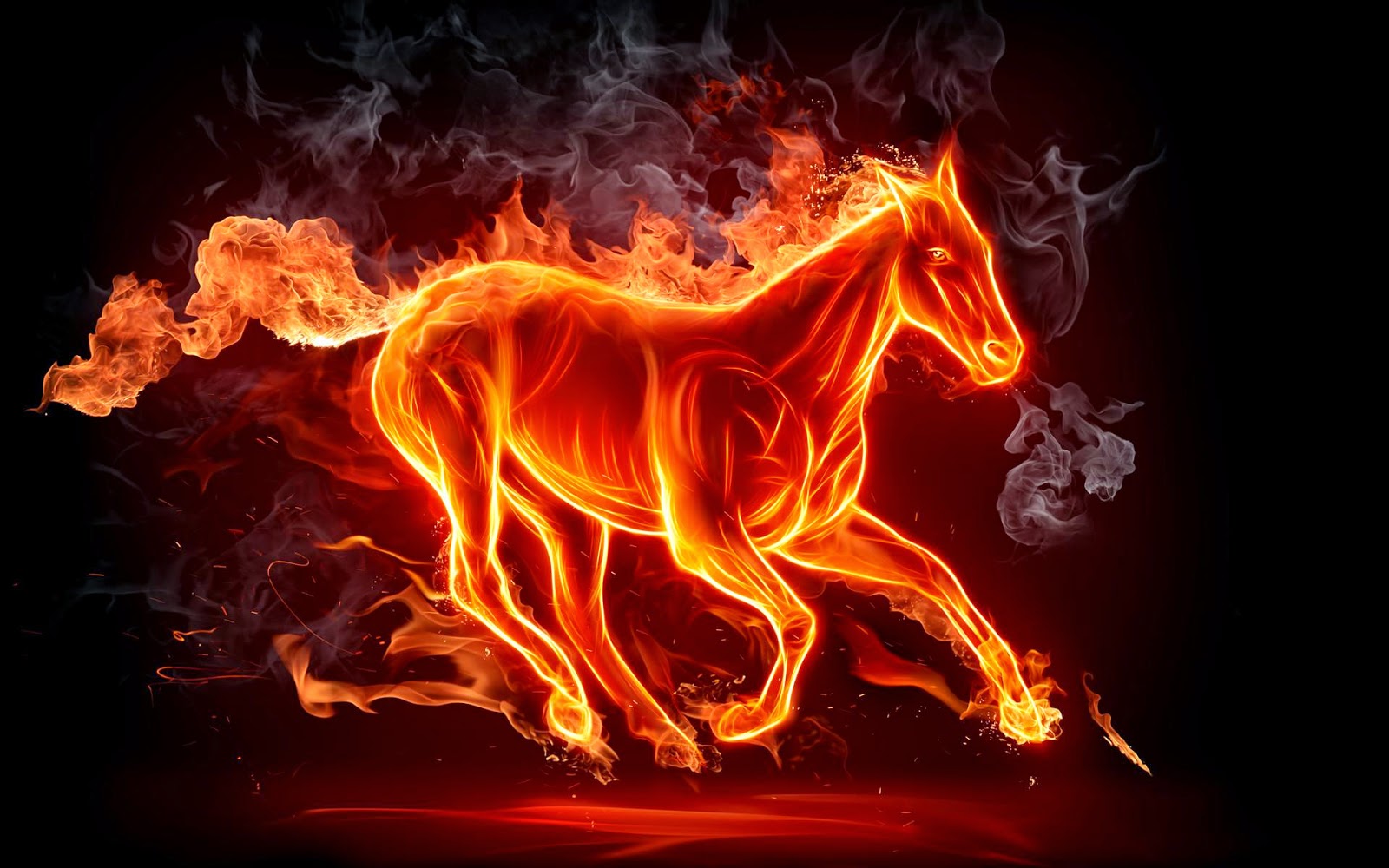 Hình ảnh 3D của ngựa
