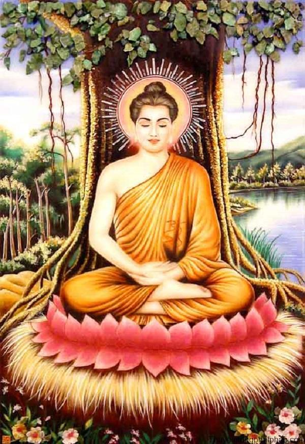 Hình ảnh Phật ngồi dưới gốc cây Bồ Đề