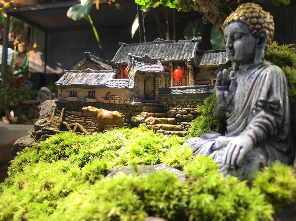 Hình ảnh tiểu cảnh sân vườn mini với tượng Phật