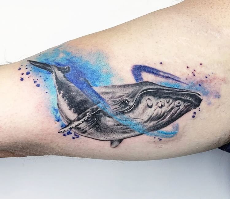Khám phá ý nghĩa hình xăm cá voi trong nghệ thuật xăm hình  Rio Studio