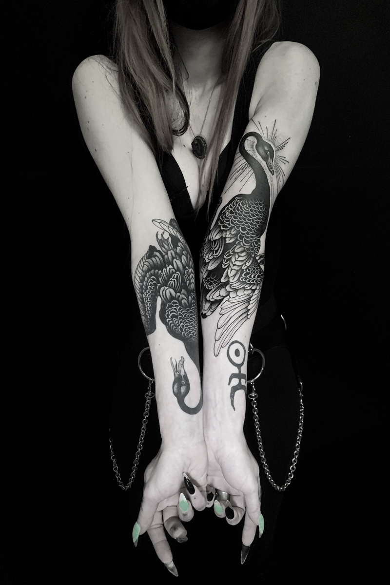 Gợi ý hình xăm thiên nga ấn tượng nhất  Owl Ink Studio  Xăm Hình Nghệ  Thuật