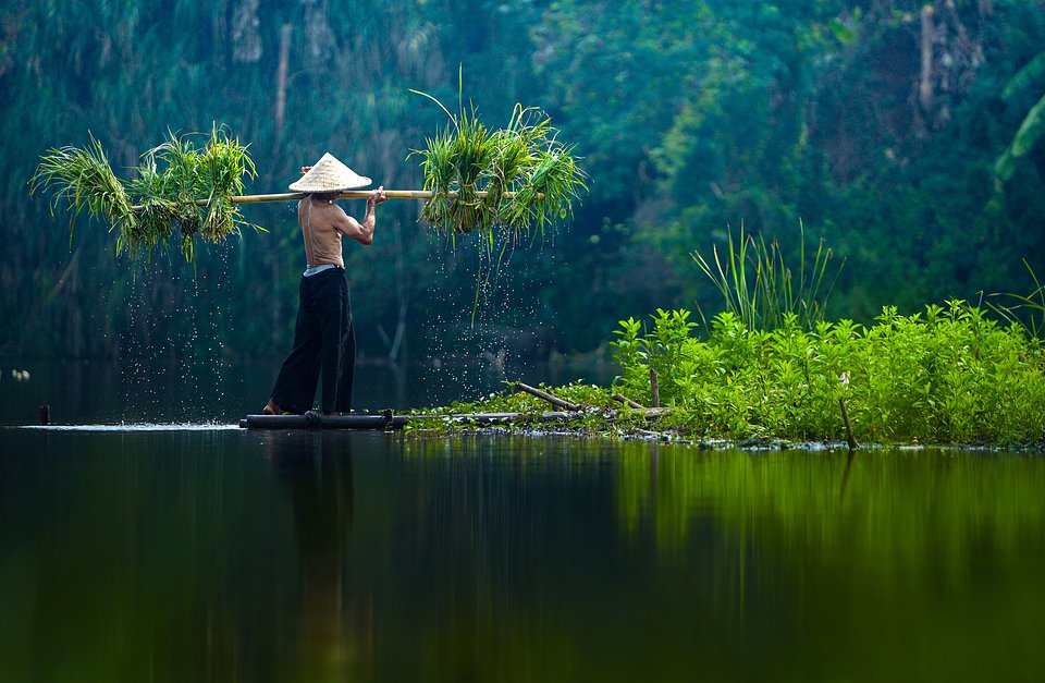 Bức ảnh nghệ thuật nông dân đẹp