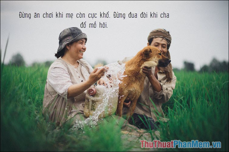 Đừng ăn chơi khi mẹ còn cực khổ, đừng đua đòi khi cha đổ mồ hôi