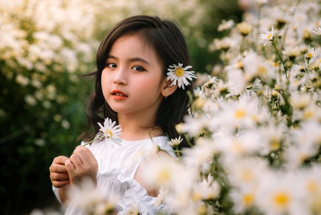 Hình ảnh của một cô gái nhỏ với hoa cúc