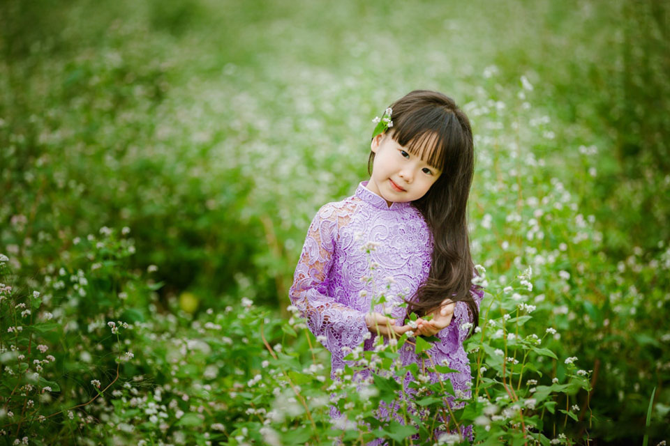 Hình ảnh bé gái đẹp bên cánh đồng hoa