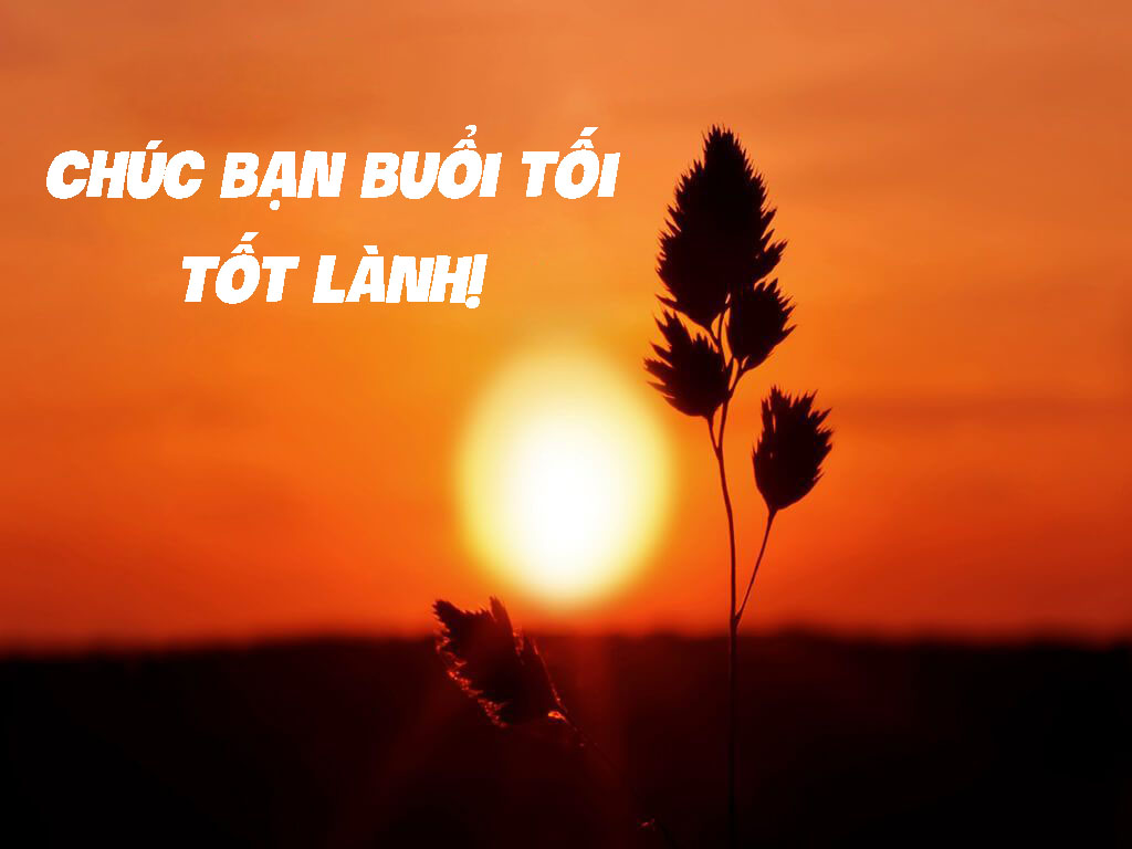 Hình ảnh chúc buổi tối tốt lành