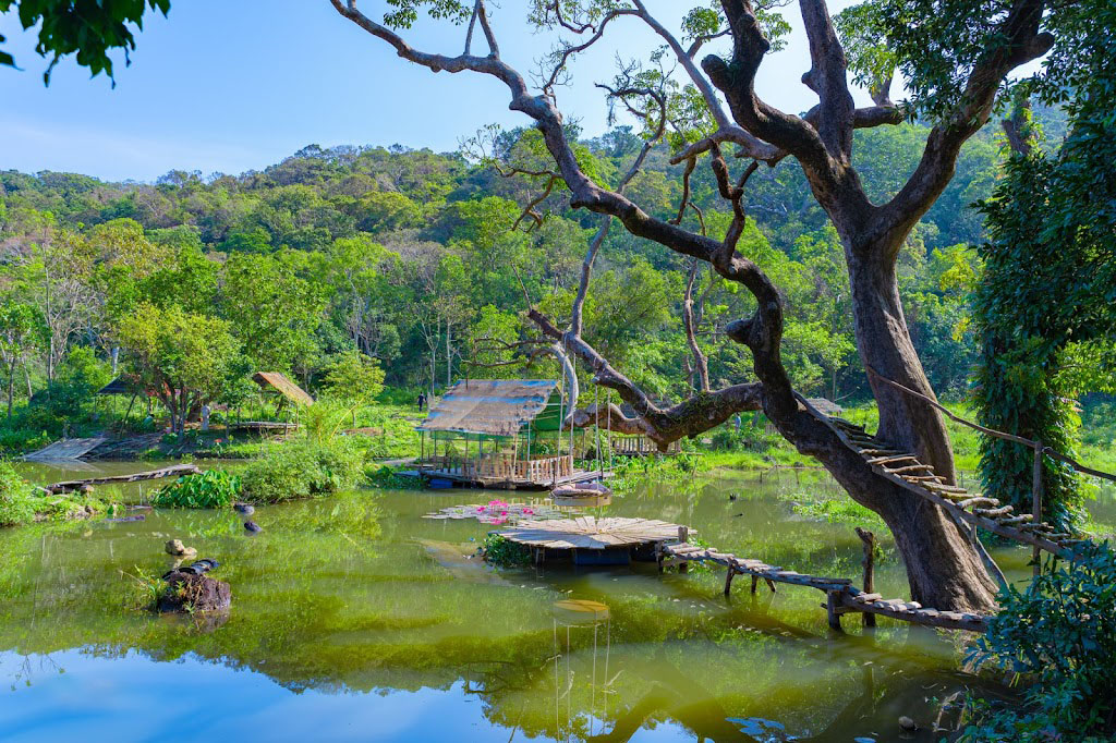 Hình ảnh công viên vòng xoay bán đảo Sơn Trà
