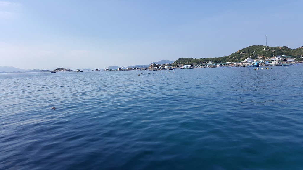 Hình ảnh đẹp một góc đảo Bình Hưng