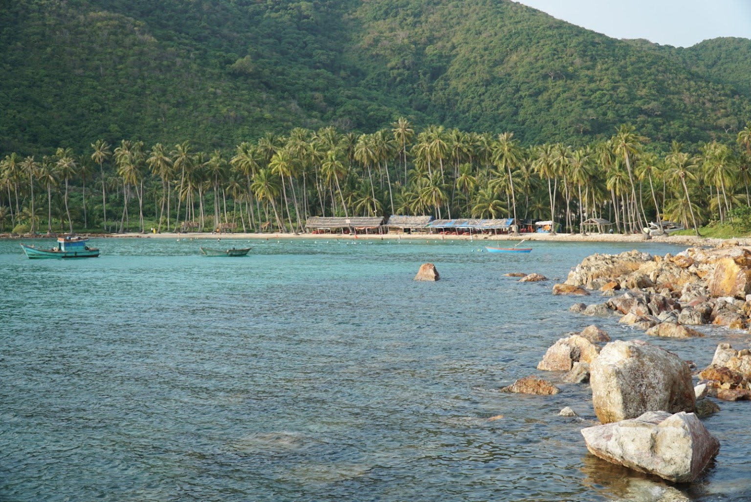 Hình ảnh rặng dừa đảo Nam Du