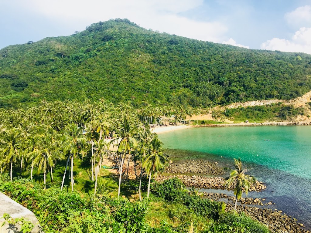 Hình ảnh rừng dừa đảo Nam Du