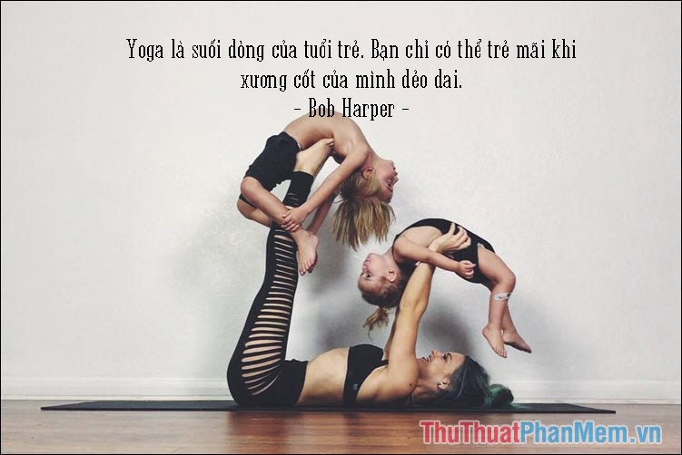 Yoga là suối dòng của tuổi trẻ. Bạn chỉ có thể trẻ mãi khi xương cốt của mình dẻo dai