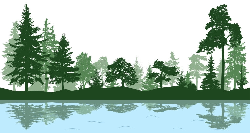 Background cây xanh ven hồ