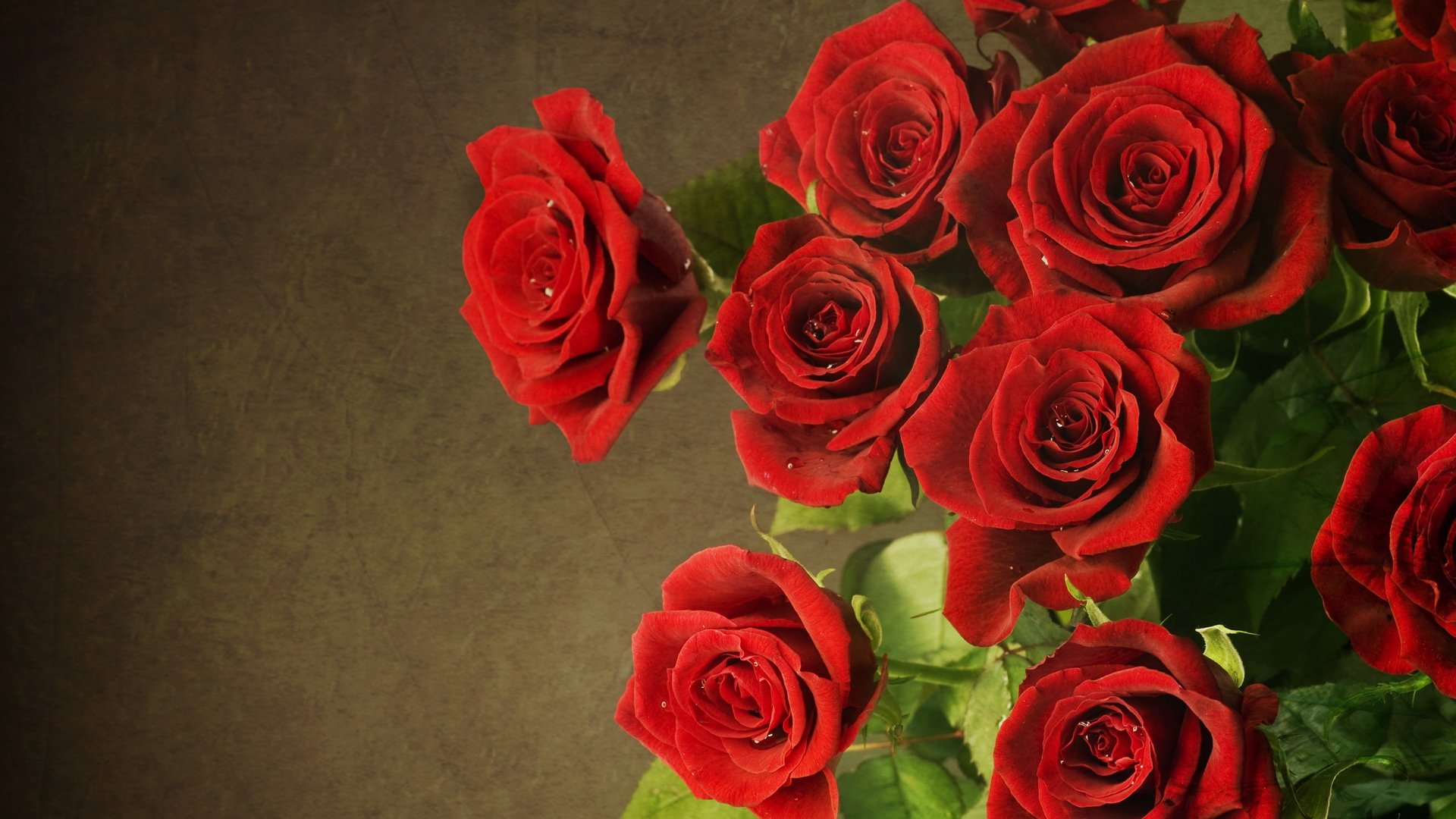 Top 100 hình ảnh hoa hồng đẹp ngọt ngào lãng mạn nhất Trường Trung Cấp Y Tế Bắc Giang