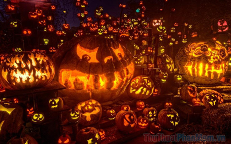 Bí ngô Halloween  Hình ảnh cách tỉa và trang trí quả bí ngô Halloween