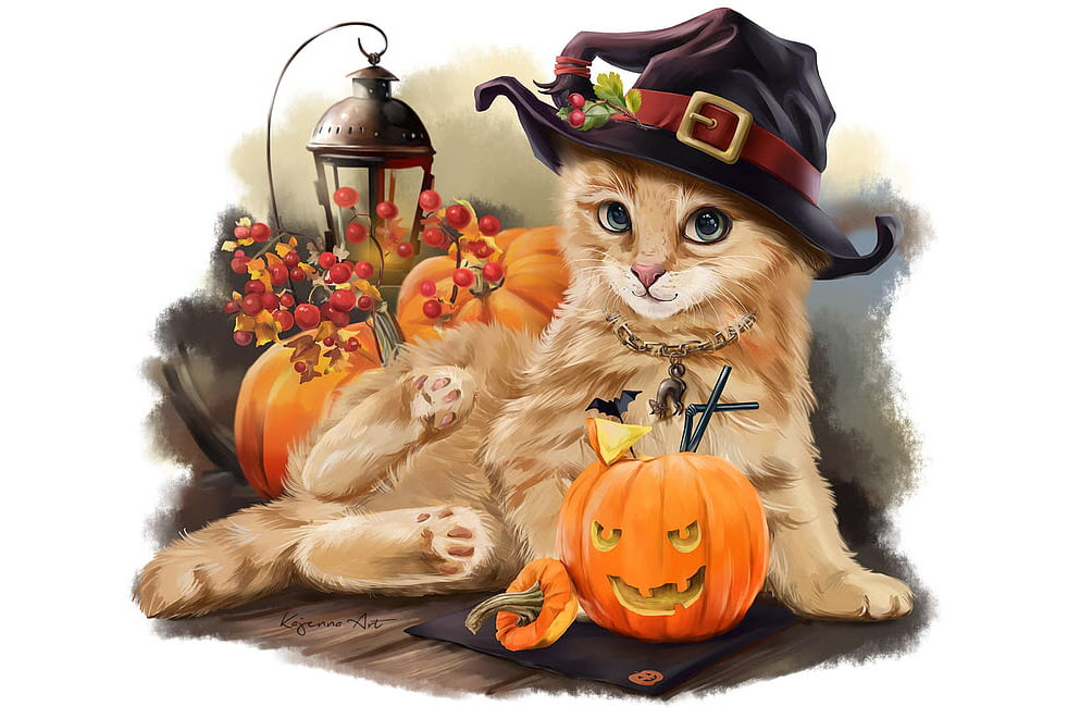 Hình vẽ chú mèo Halloween cực đẹp