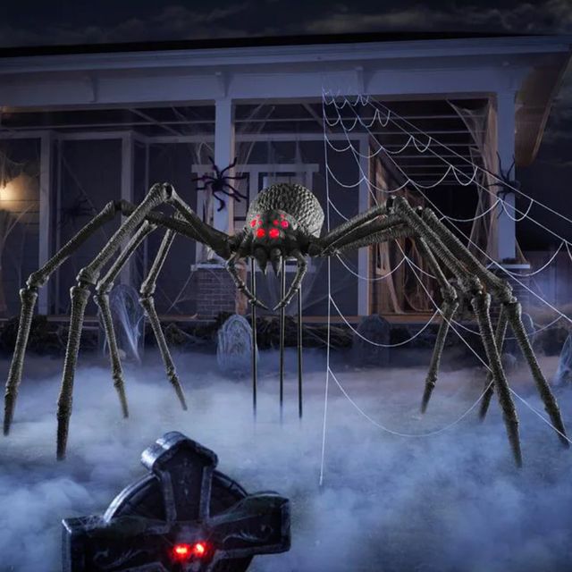 Ảnh nhện Halloween 3D