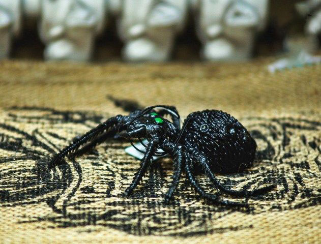 Hình ảnh con nhện Halloween tuyệt vời