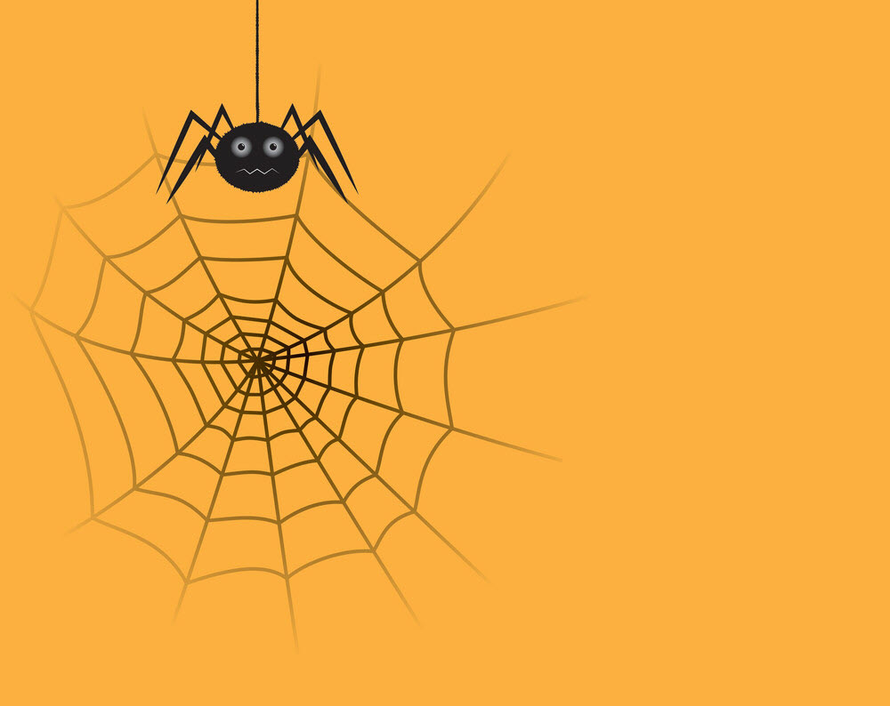Hình ảnh loài nhện Halloween