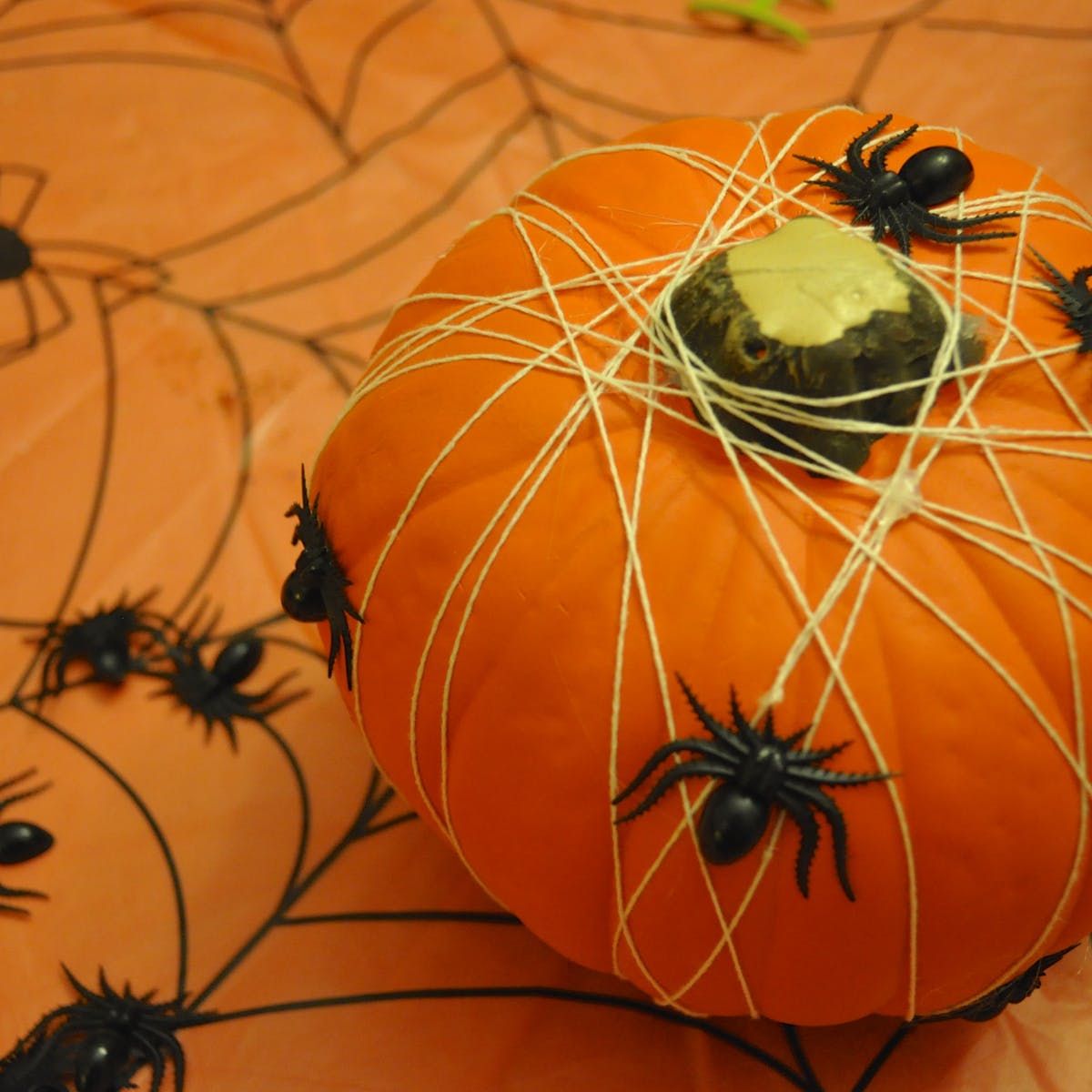 Halloween hình ảnh nhện bí ngô
