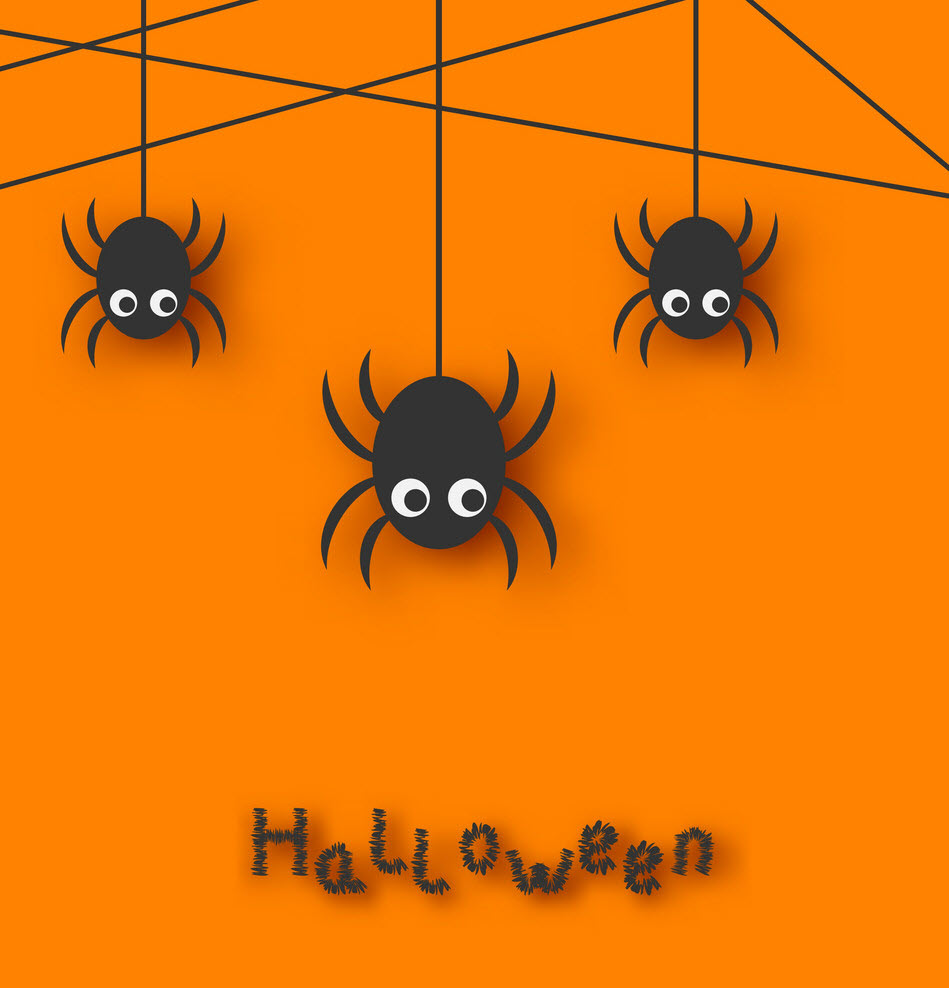 Hình ảnh nhện Halloween đẹp