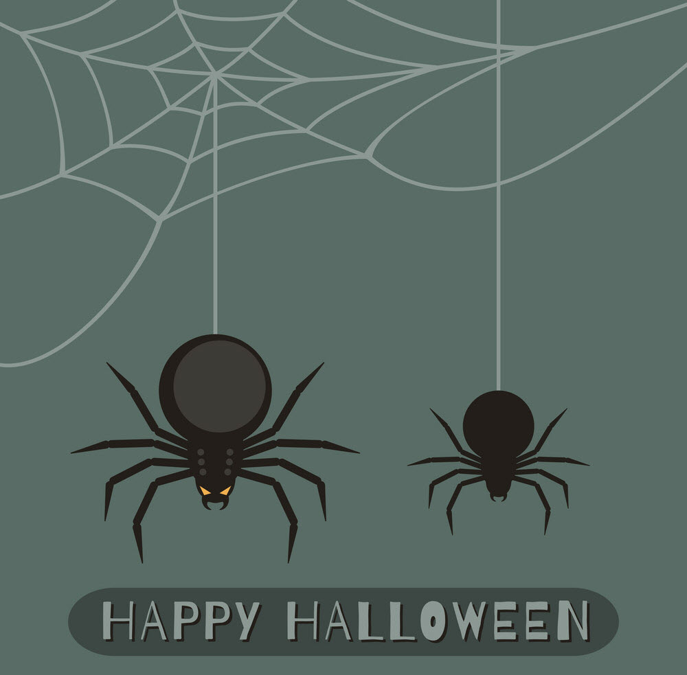 Hình ảnh con nhện Halloween đơn giản