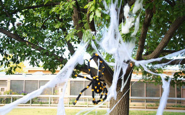 Hình ảnh người nhện kinh dị Halloween