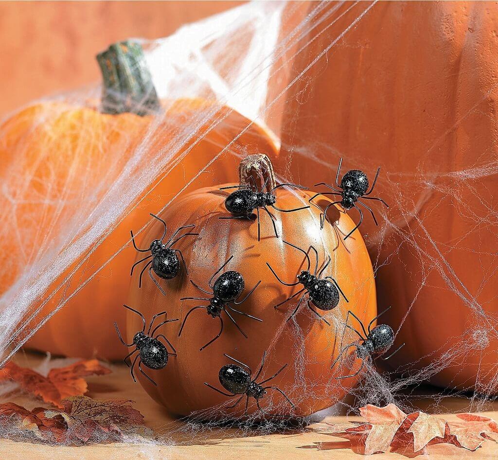 Hình ảnh nhện Halloween