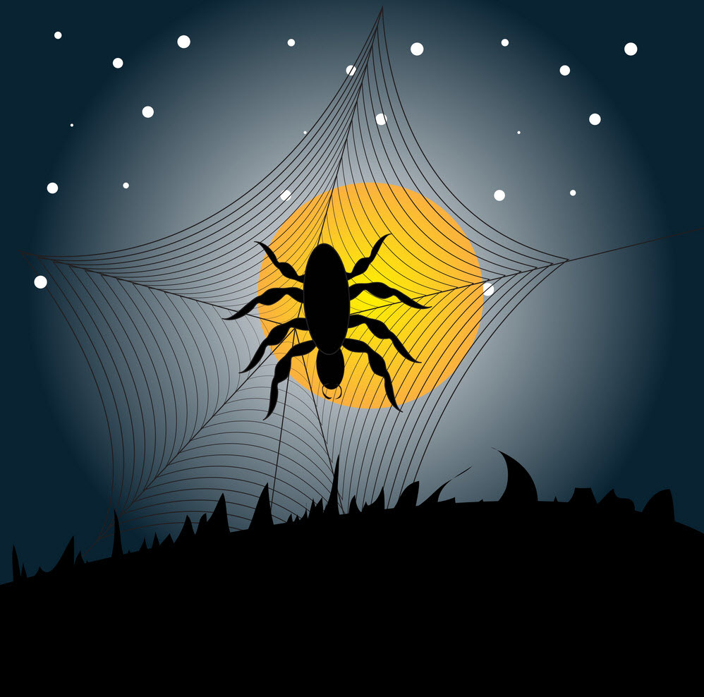 Hình ảnh nhện Halloween