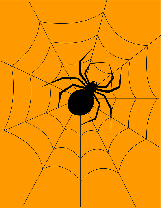 Halloween hình ảnh nhện