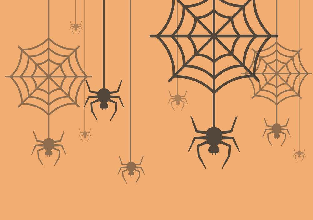 Hình ảnh những con nhện Halloween