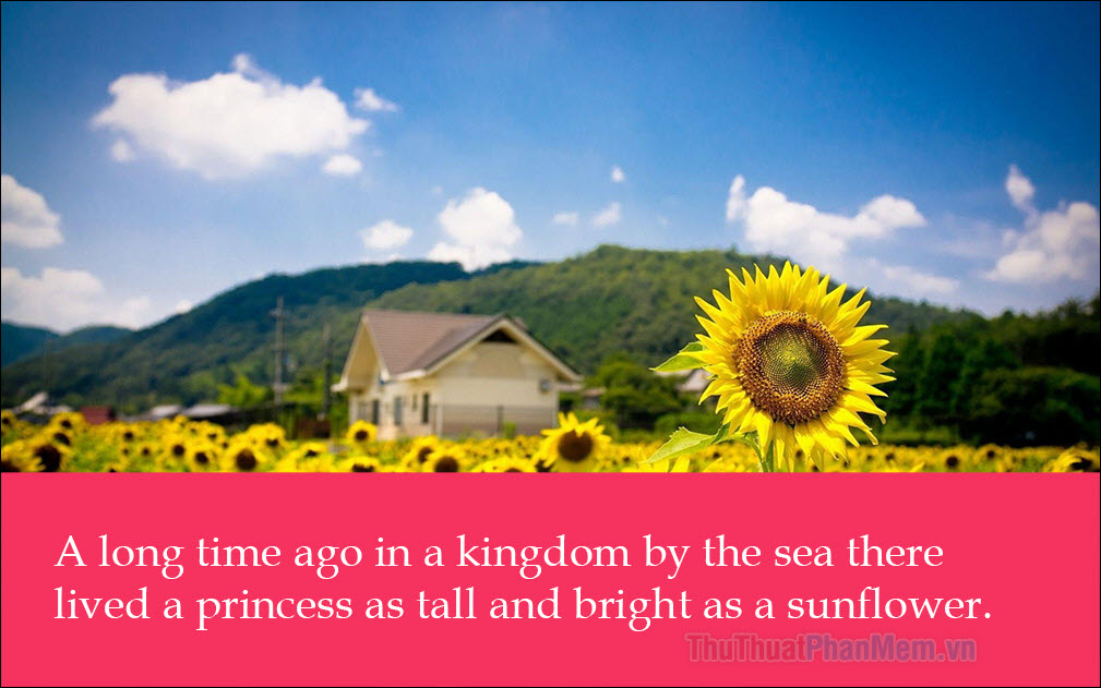 A long time ago in a kingdom by the sea there lived a princess as tall and bright as a sunflower