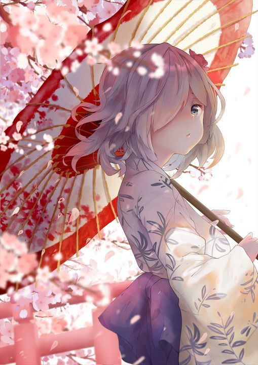 Hình ảnh anime hoa đào Tết