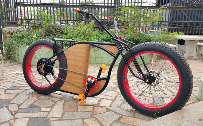 Hình ảnh xe đạp điện độ gỗ