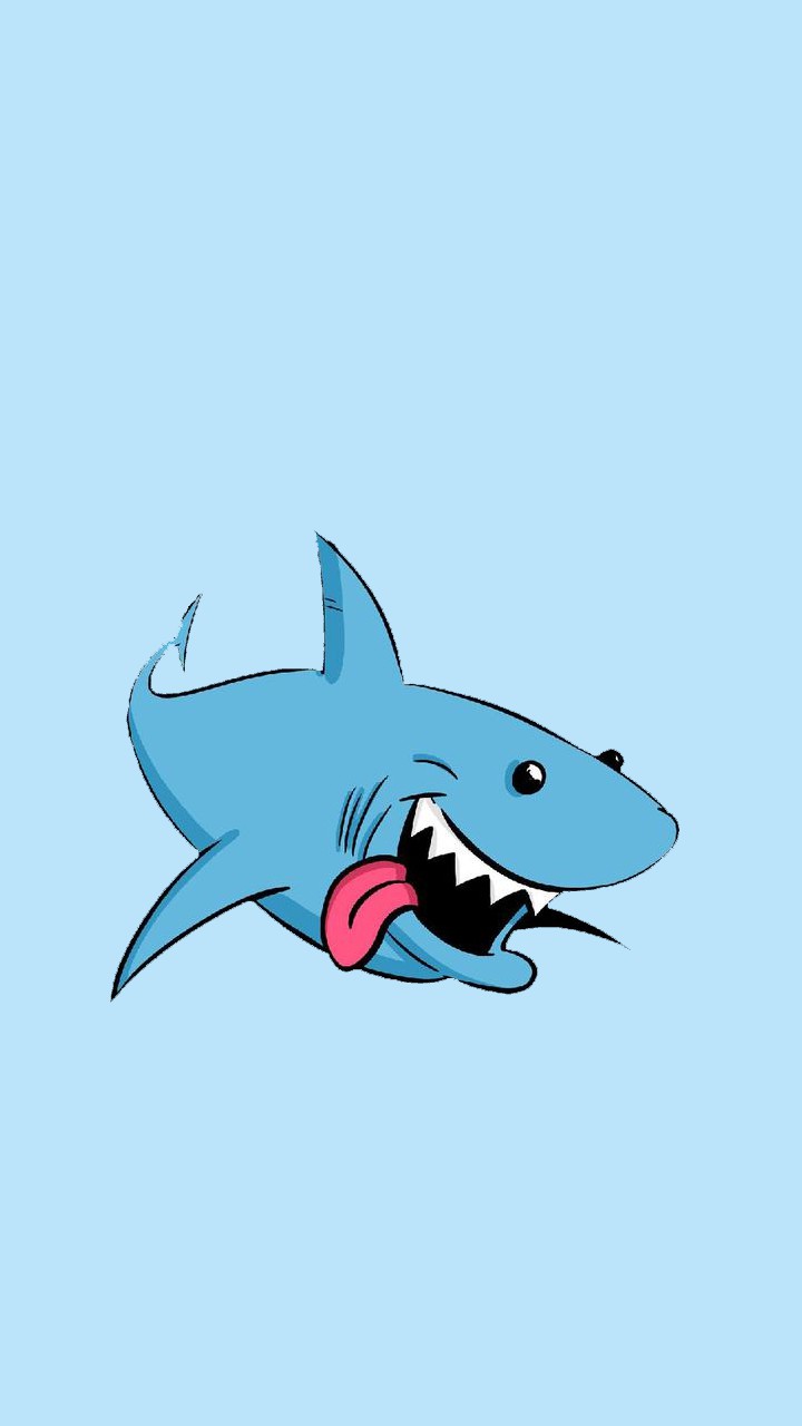 Cập nhật 71 avatar cá mập cute hay nhất  thtantai2eduvn
