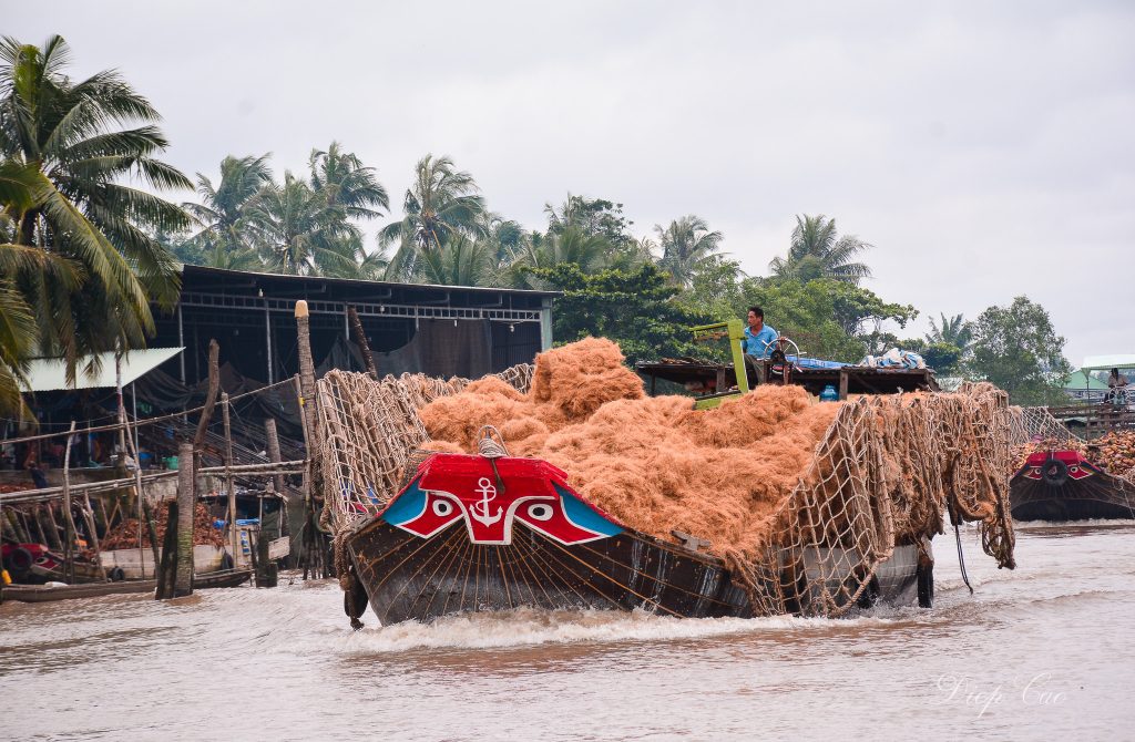 Ảnh Chợ nổi dừa trên sông Thơm Bến Tre