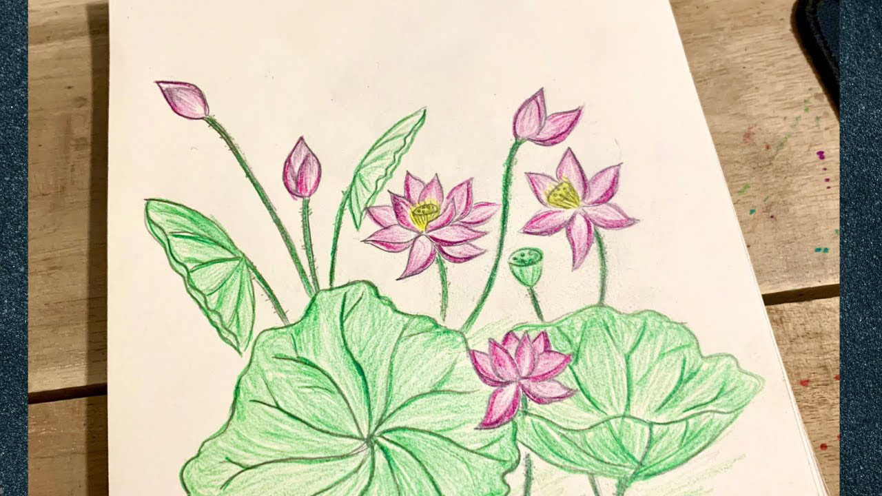 Hình vẽ hoa sen của học sinh lớp 8