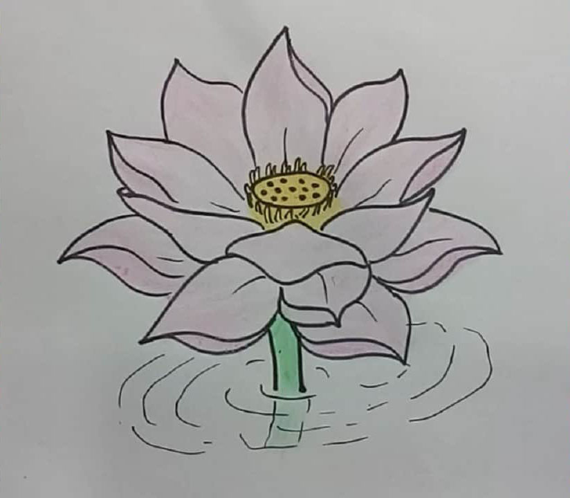 Tranh vẽ hoa Sen bằng sơn dầu  Sen trắng tinh khôi TSD 361
