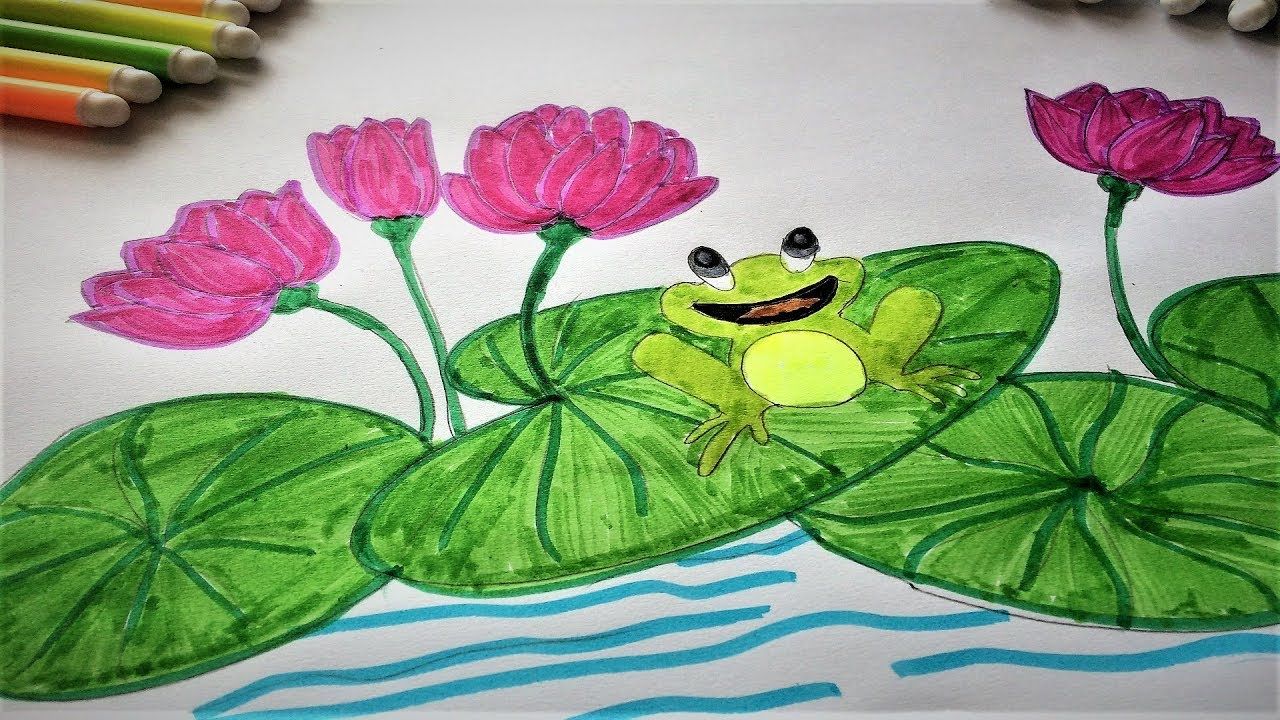 Hình vẽ hoa sen và chú ếch