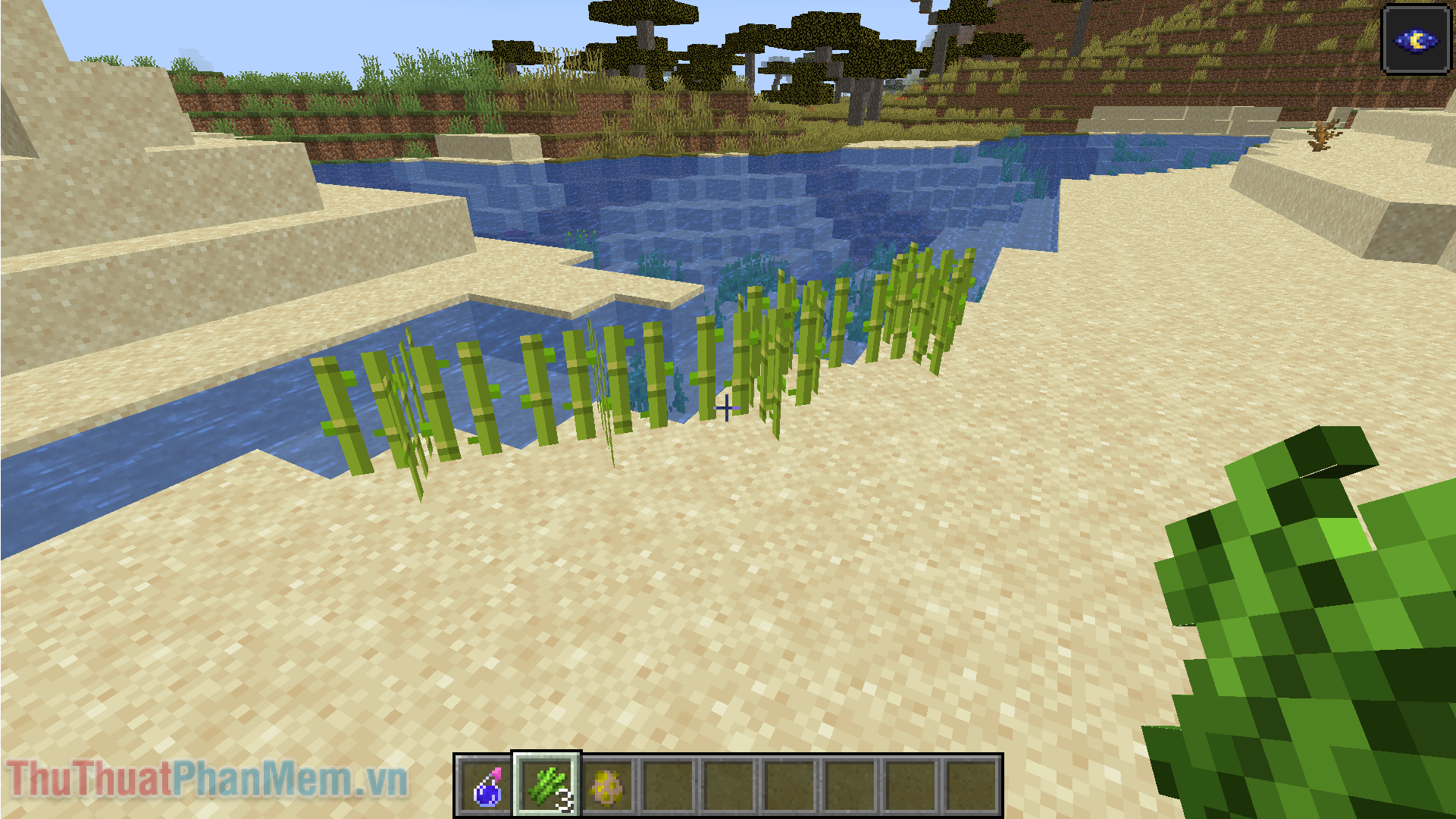 Khi thu hoạch, bạn nên để lại một khúc mía ở gần nước để nó có thể tiếp tục mọc