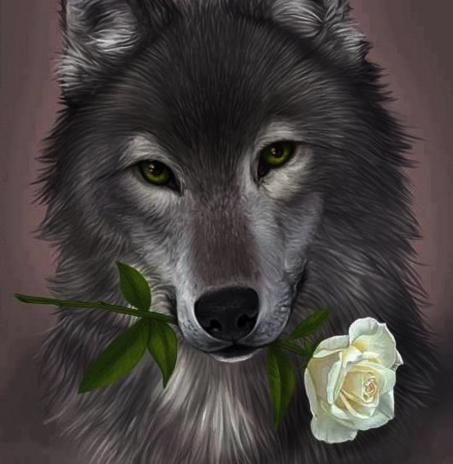 Ảnh của con sói xinh đẹp