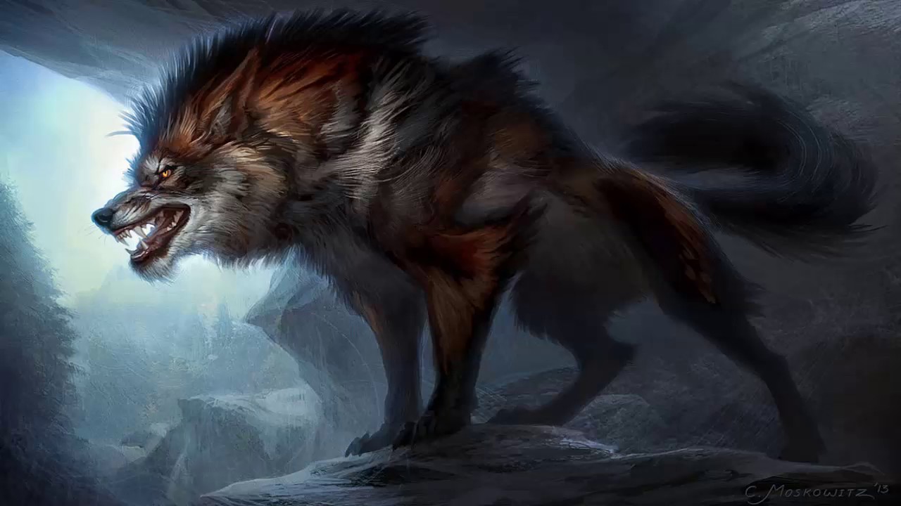 Hình nền HD Wild Wolf