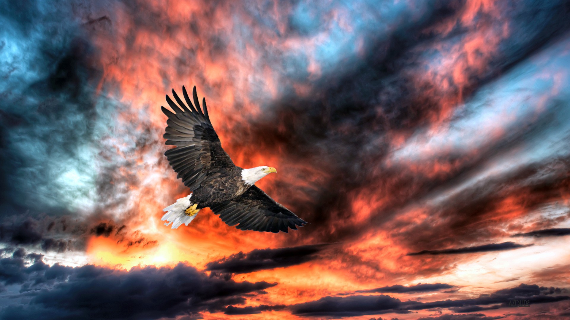 Hình ảnh đại bàng tung cánh trên bầu trời tự do đầy dũng mãnh quyền uy