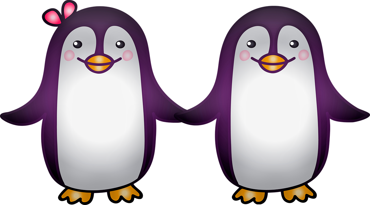 Hình chim cánh cụt đẹp nhất