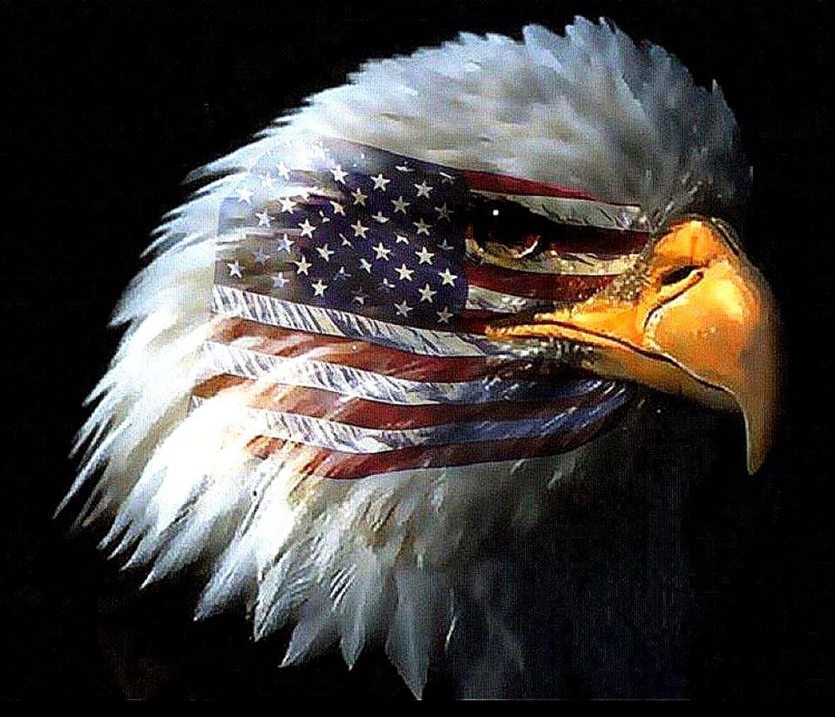 Hình ảnh 3D American Eagle